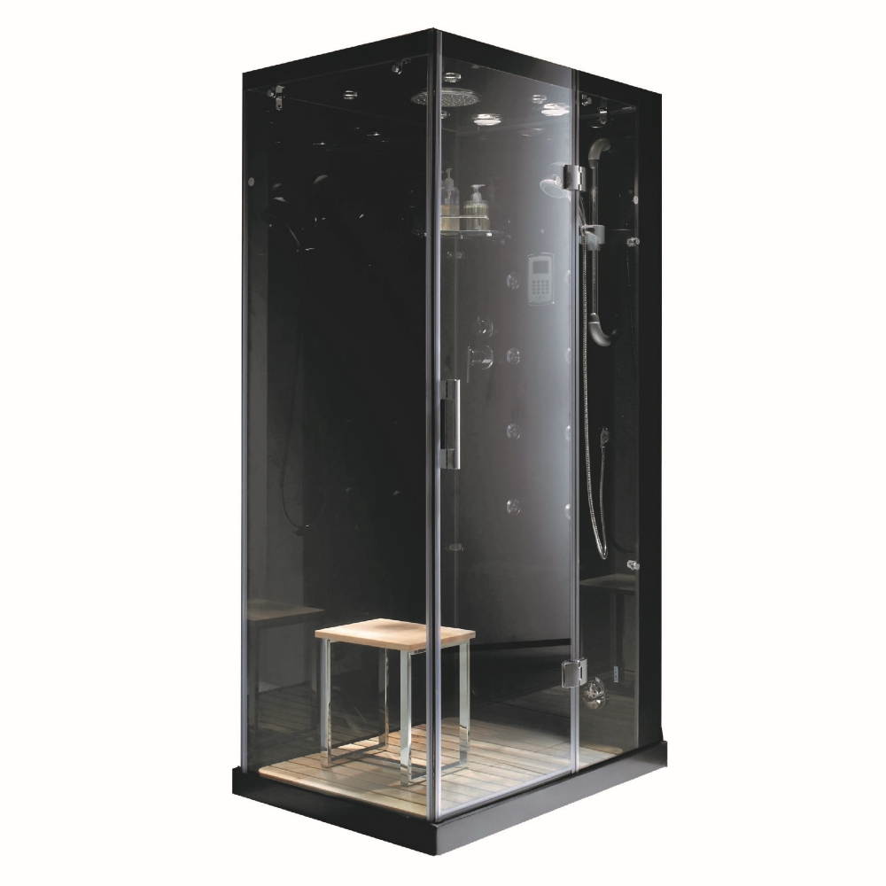 Steam Shower System